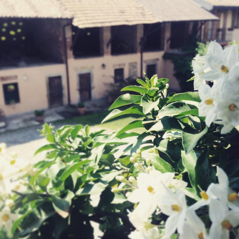 Agriturismo Cascina Magana Burago di Molgora Dış mekan fotoğraf
